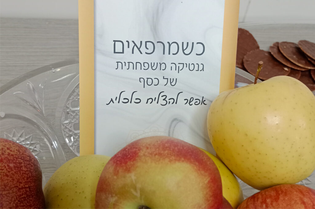 גלריית תמונות-09